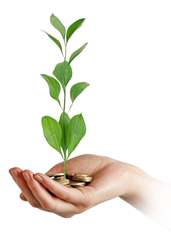 Equity Fund